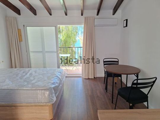 Alquiler de estudio en Calle Torre de San Telmo, 14 - Foto 1