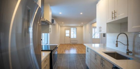 4 1/2 - Montréal (Hochelaga / Maisonneuve) - 1 995 $/mois - Photo 2