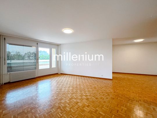 Nice 6P apartment near international organizations - Photo 1