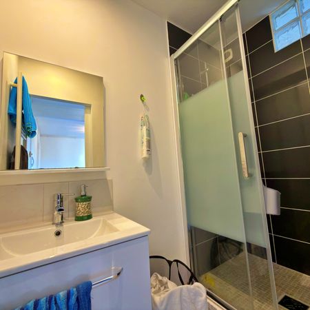 Location Appartement 1 pièce 19m² NANCY 54000 - Photo 3