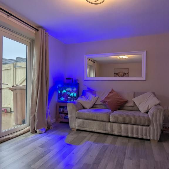 2 bedroom semi-detached house to rent - Photo 1