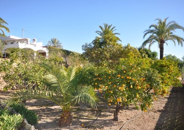 Super Rustic Villa in Entre Naranjos Y Flores Alfaz Del Pi For Long Term Rental