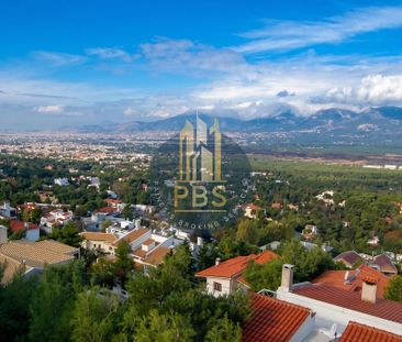 Μονοκατοικία 508 τ.μ. προς ενοικίαση - Photo 3