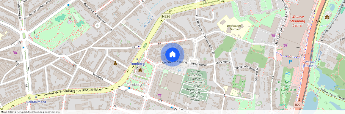 Avenue des Vaillants 11, 1200, Woluwe-Saint-Lambert