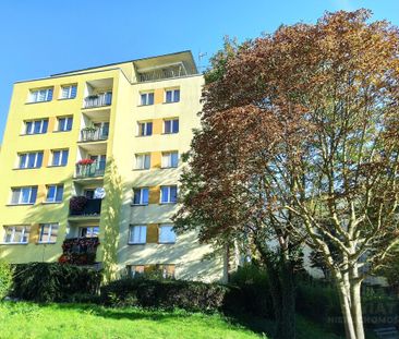 Zadbane mieszkanie 3-pok. z balkonem do wynajęcia - Photo 4