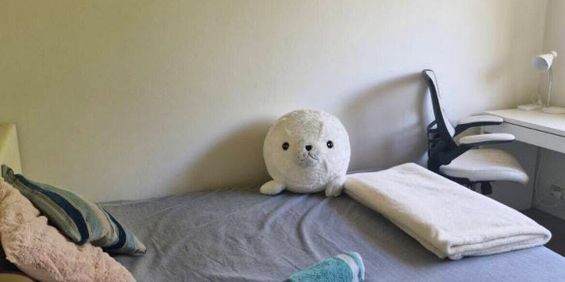 Kensington - Photo 3