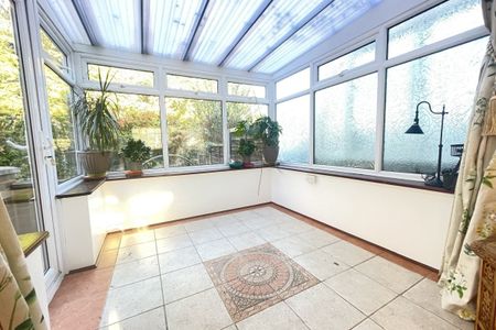 Marlins Turn - Photo 2