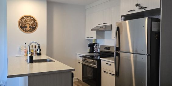 Appartement 3½ - 1 Chambre à Bécancour - Photo 3