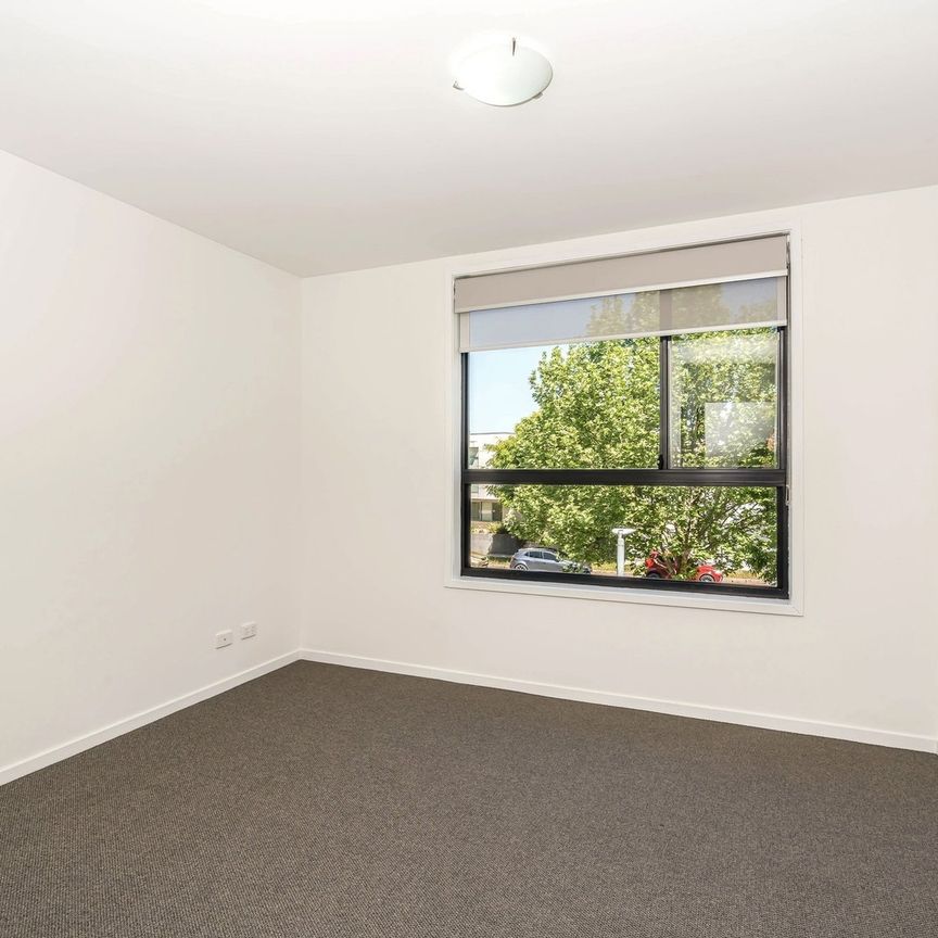 8/4 Nuyts Street, Red Hill ACT 2603 - Apartment For Rent | Domain - Photo 1