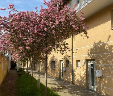 Nur für Rollstuhlfahrer mit WBS! - Photo 6