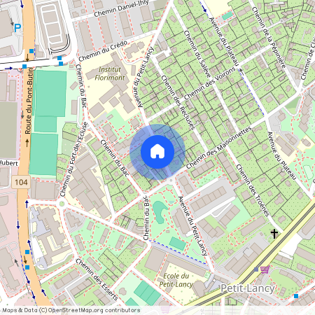 1213, Petit-Lancy, Avenue du Petit Lancy, 19