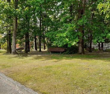 Location appartement 1 pièce - 27.42m² à Saint-jean (31240) - Photo 6