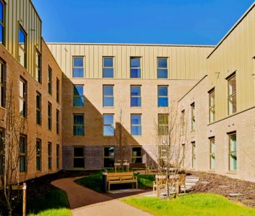 Bronze Ensuite - Single Occupancy - Photo 3