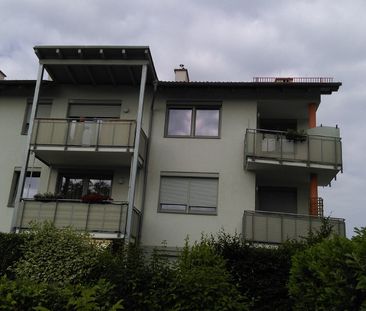 HOLLABRUNN XX/2 - Photo 2