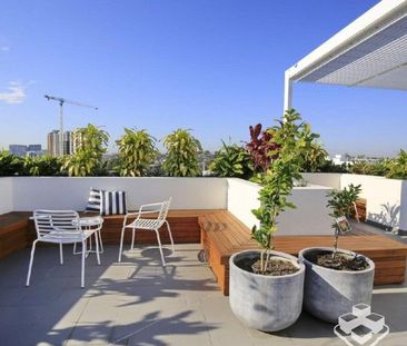 UNFURNISHED 1 BEDROOM APARTMENT IN WEST END - Photo 3