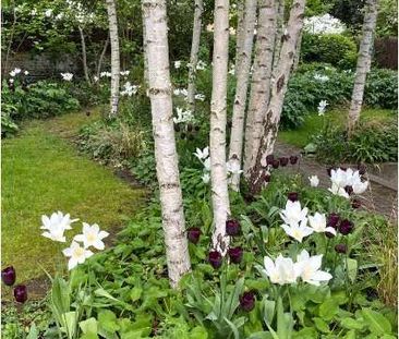 An unique opportunity to live in an architecturally designed house ... - Photo 2