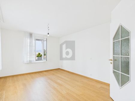 TOP VIEW WITH LARGE TERRACE - Photo 5