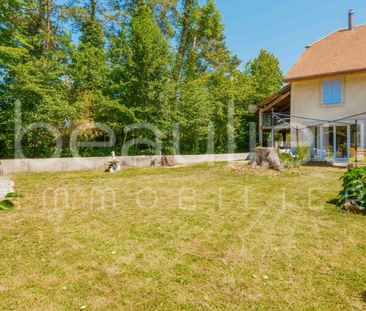 Magnifique appartement en rez-de-jardin - Photo 6