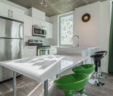 Condo for rent, Montréal (Le Sud-Ouest) - Photo 3