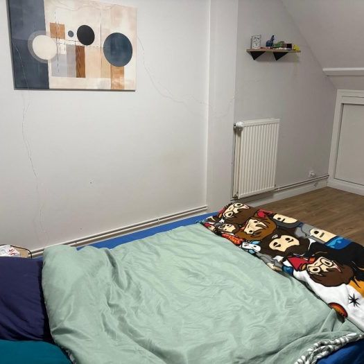 Appartement à louer, 1 pièce - Angers 49100 - Photo 1