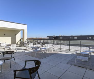 9675 Av. Papineau - Photo 2