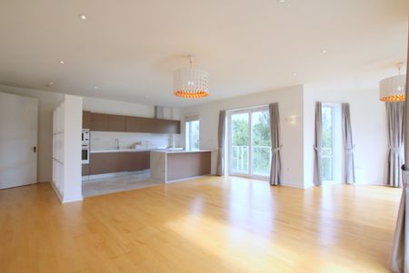 2 Bedroom Apartment, Melliss Avenue, Richmond - Photo 4