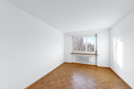 Gutes Preis-Leistungsverhältnis in Rheinnähe - Photo 3