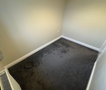 Mouse Lane - Photo 5