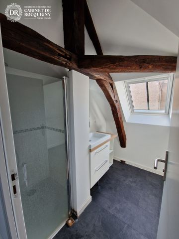 Location Appartement 2 pièces 58m² ORLEANS 45000 - Photo 3