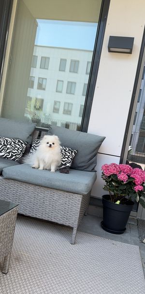 Skaragatan, Helsingborg - Photo 1