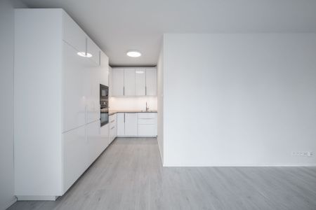Pronájem bytu 1+kk • 41 m² bez realitkyGerstelova, Praha - Vysočany - Фото 5