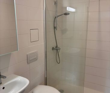 Location Appartement 1 pièce 25m² EVIAN LES BAINS 74500 - Photo 3