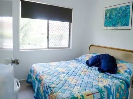 451 Warrigal Road, Eight Mile Plains QLD 4113 - House For Rent | Domain - Photo 3