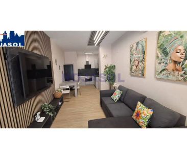 Noja - Photo 6