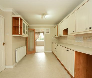 4 bedroom House To Let Total Size: 1566 SQ FT - Photo 1