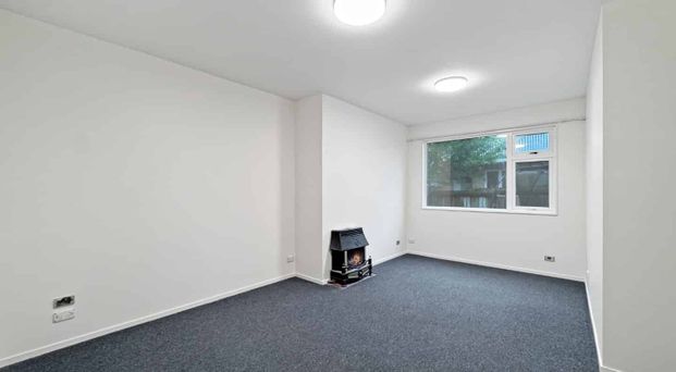 Welcome home to 25A Trafalgar Street. - Photo 1