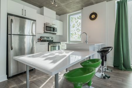 Condo for rent, Montréal (Le Sud-Ouest) - Photo 3