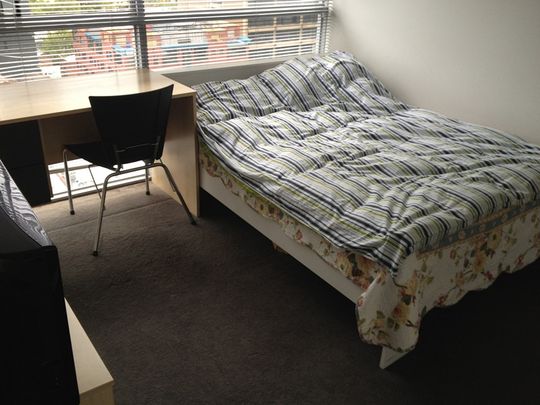 80 Mornelle Court - Photo 1