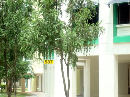 Blk 587 Woodlands Drive 16 (Woodlands), HDB Executive - For Rent - Photo 5