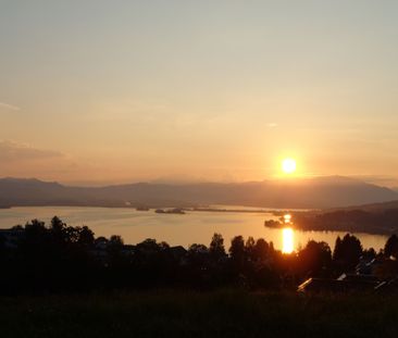 Moderne 2.5-Zimmer-Wohnung in ruhiger Panoramalage von Richterswil - Photo 4