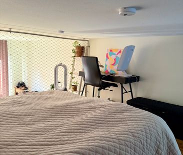 Storseglet, Vega - Foto 4