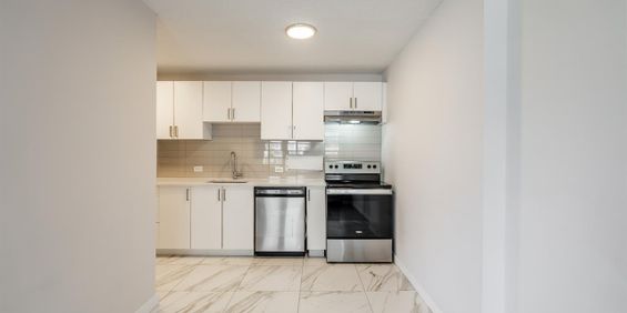 Rennovated 2 Bedroom Unit - Saint Laurent - 135 Boulevard Deguire, Saint-Laurent - Photo 3