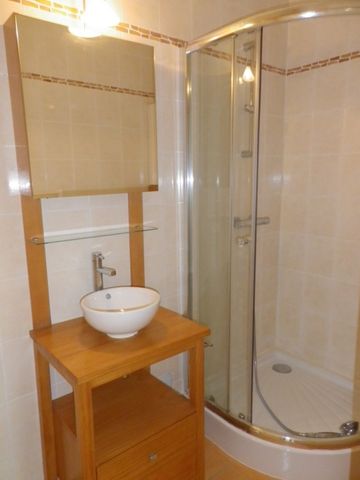 A LOUER APPARTEMENT T2 ANGERS PROCHE CHU - Photo 5