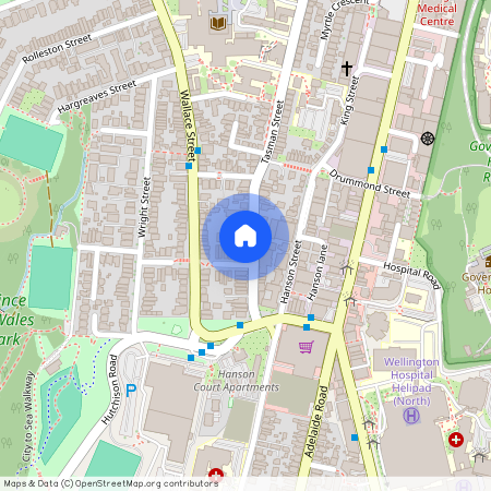 166 Tasman Street, Mount Cook, Wellington