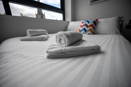 Campo Lane - Photo 5