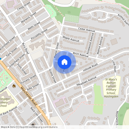 Pine Street, Rossendale (district Of), Lancashire, BB4