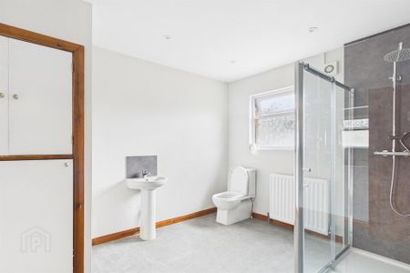 61 Trevor Street, Holywood, BT18 9NA - Photo 5