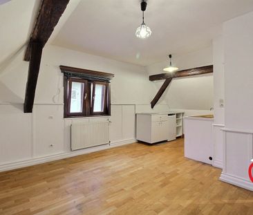 Location Appartement 1 pièce 20m² VILLE 67220 - Photo 6