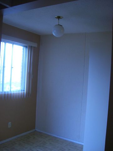 3 Bedrooms,large apartment! Amazing Location! Close to U of C! - Photo 5