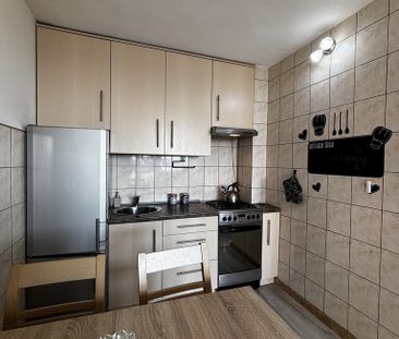 Centrum, 2 pok, Park Andersa, Kaskada - Zdjęcie 6